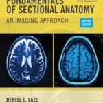 Fundamentals of Sectional Anatomy: An Imaging Approach Edition 2