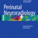 Perinatal Neuroradiology                            :From the Fetus to the Newborn