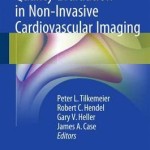 Quality Evaluation in Non-Invasive Cardiovascular Imaging 2016