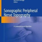 Sonographic Peripheral Nerve Topography : A Landmark-Based Algorithm